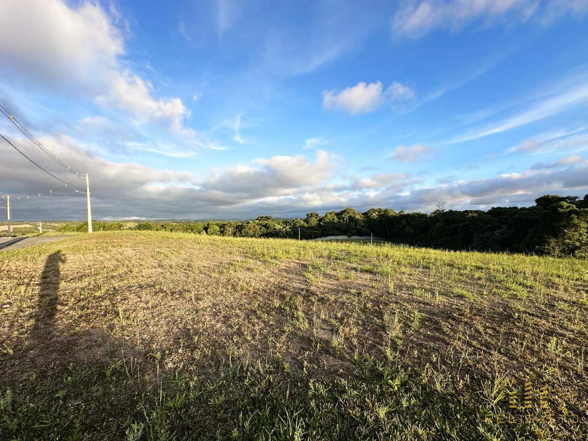 Lotes em Campo Largo