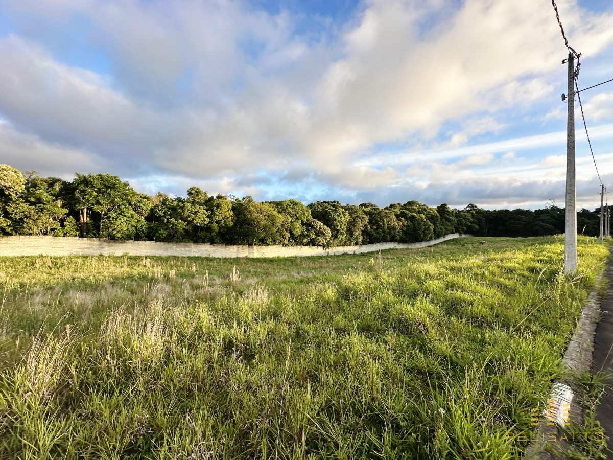 Lotes em Campo Largo - Relisatto Imóveis • Gabriela Busato  Especialista em Imóveis de Médio e Alto Padrão