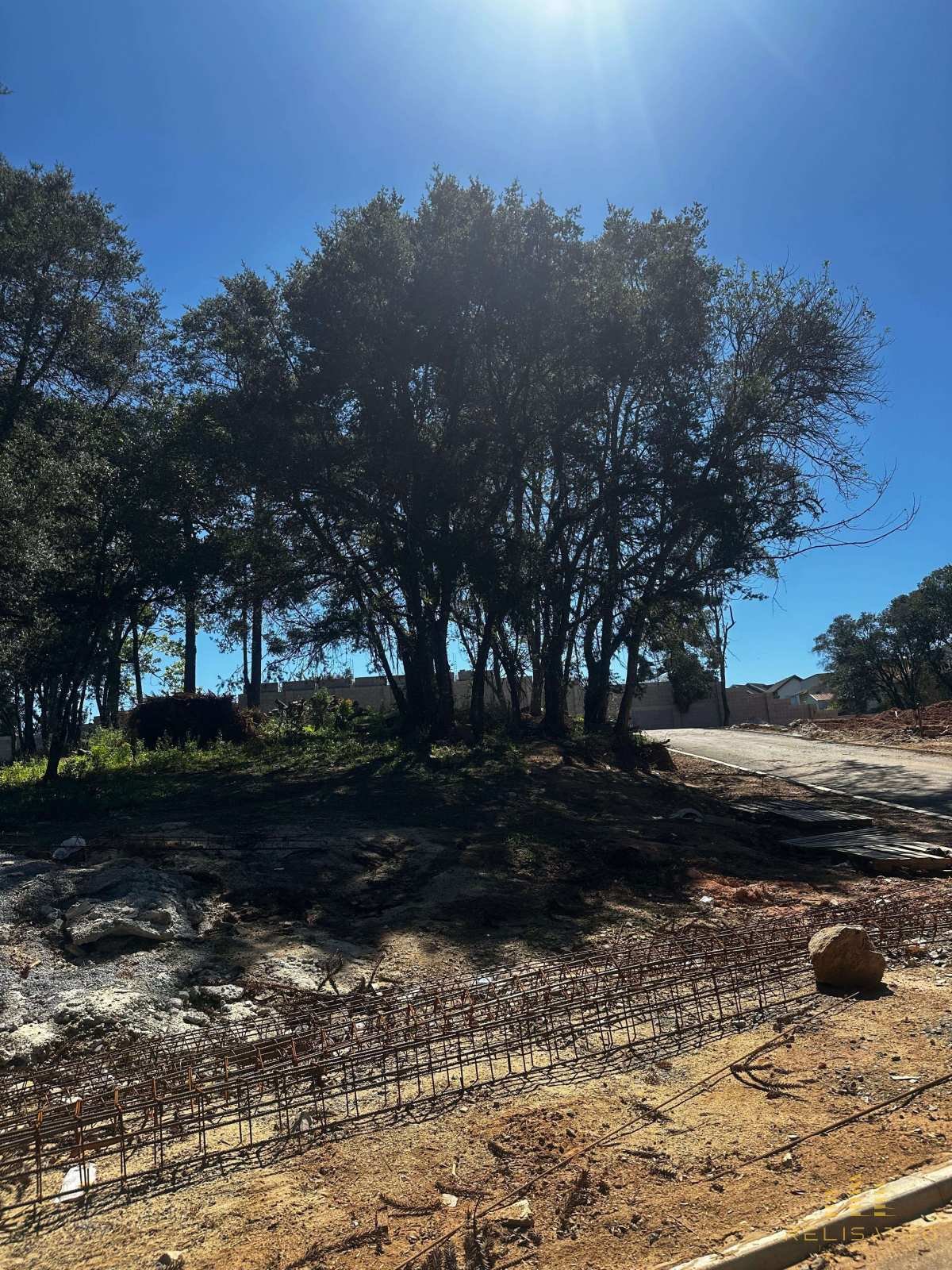 Lotes no bairro Pilarzinho - Relisatto Imóveis • Gabriela Busato  Especialista em Imóveis de Médio e Alto Padrão