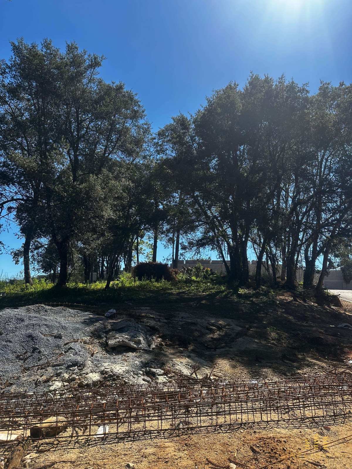 Lotes no bairro Pilarzinho - Relisatto Imóveis • Gabriela Busato  Especialista em Imóveis de Médio e Alto Padrão