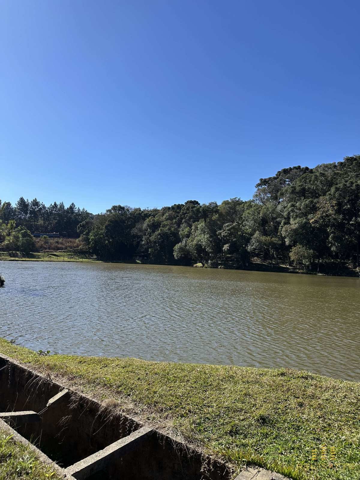 Terreno em Quatro Barras – Área de 72.000 m² - Relisatto Imóveis • Gabriela Busato  Especialista em Imóveis de Médio e Alto Padrão