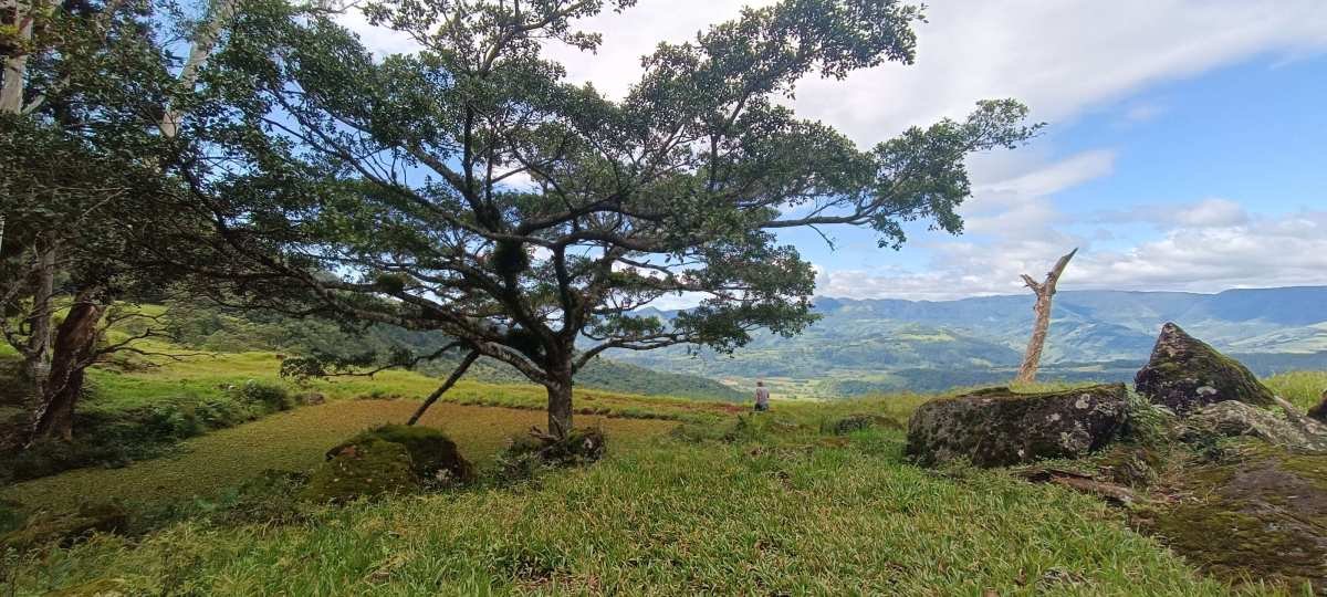 Sítio à venda em Praia Grande-SC, 44,3ha - Mateus Macedo
