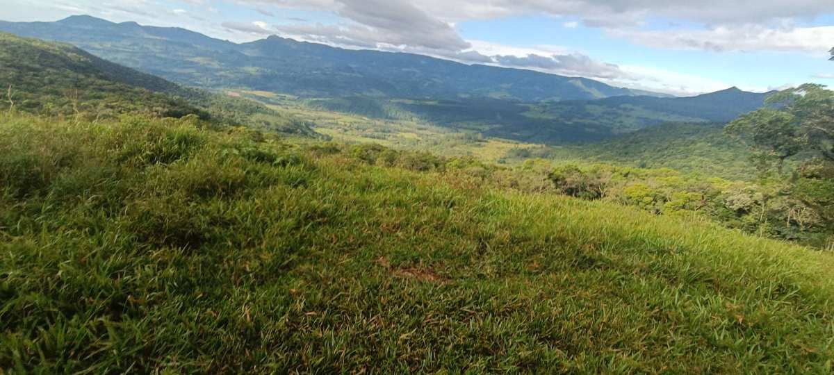 Sítio à venda em Praia Grande-SC, 44,3ha - Mateus Macedo