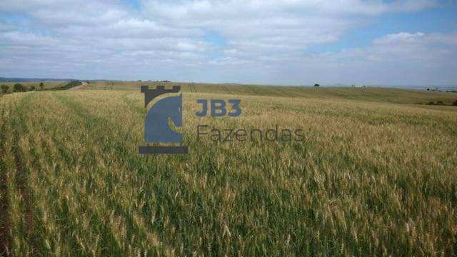 Fazenda à venda - ,Palmital