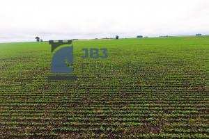 Fazenda à venda - ,Palmital