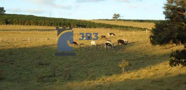  - Fazenda à venda em Palmital, 194 Alqueires