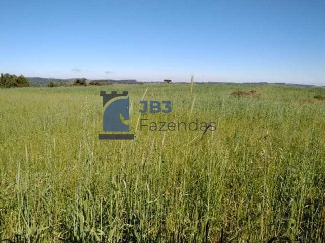 Fazenda à venda - ,Tamarana