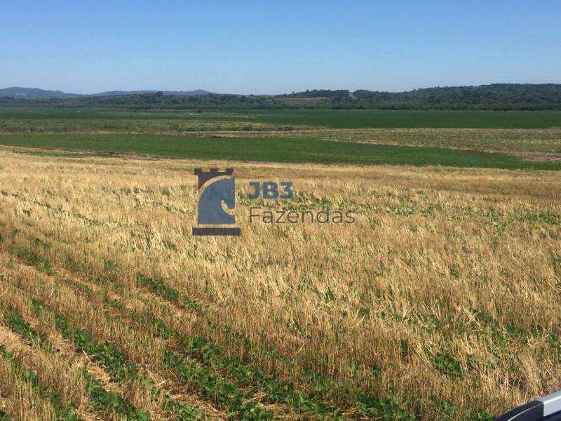 Fazenda à venda - ,Tamarana