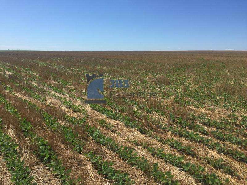 Fazenda à venda - ,Tamarana