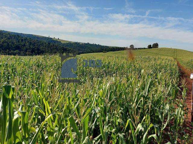  - Fazenda à venda em Tamarana, 400 Alqueires