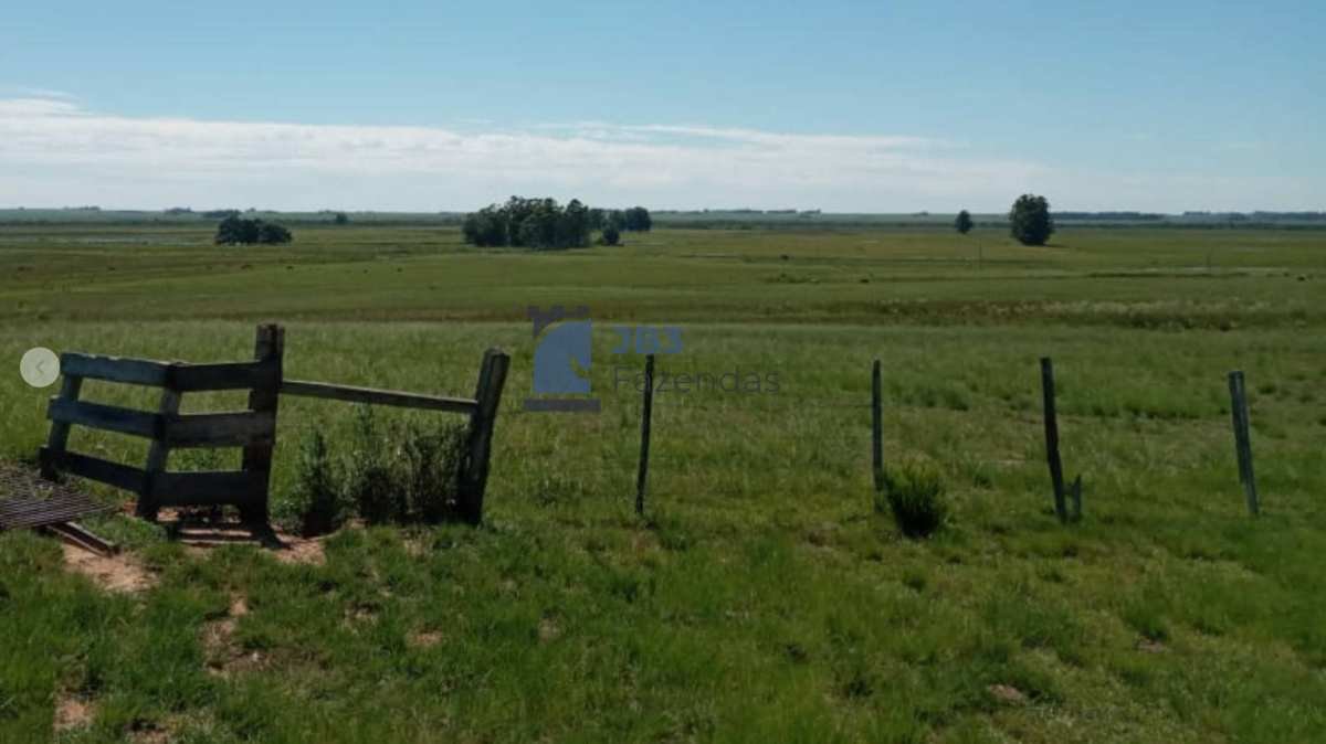 Fazenda à venda, 223Alqueires Paulista - ,Santa Maria do Oeste