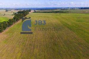 Fazenda à venda, 223Alqueires Paulista - ,Santa Maria do Oeste