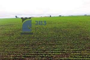 Fazenda à venda - ,Santa Tereza do Oeste