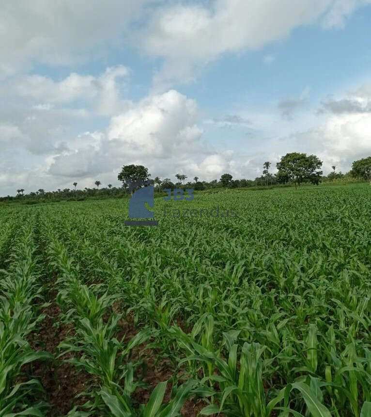 Fazenda à venda - ,Santa Tereza do Oeste