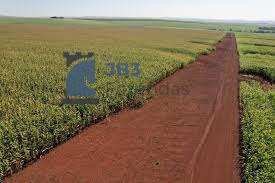 Fazenda à venda - ,Santa Tereza do Oeste