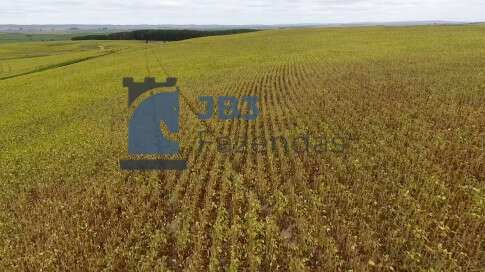  - Fazenda à venda Santa Tereza do Oeste, 58 Alqueires