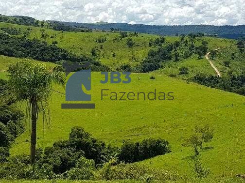 Fazenda à venda - ,Ortigueira