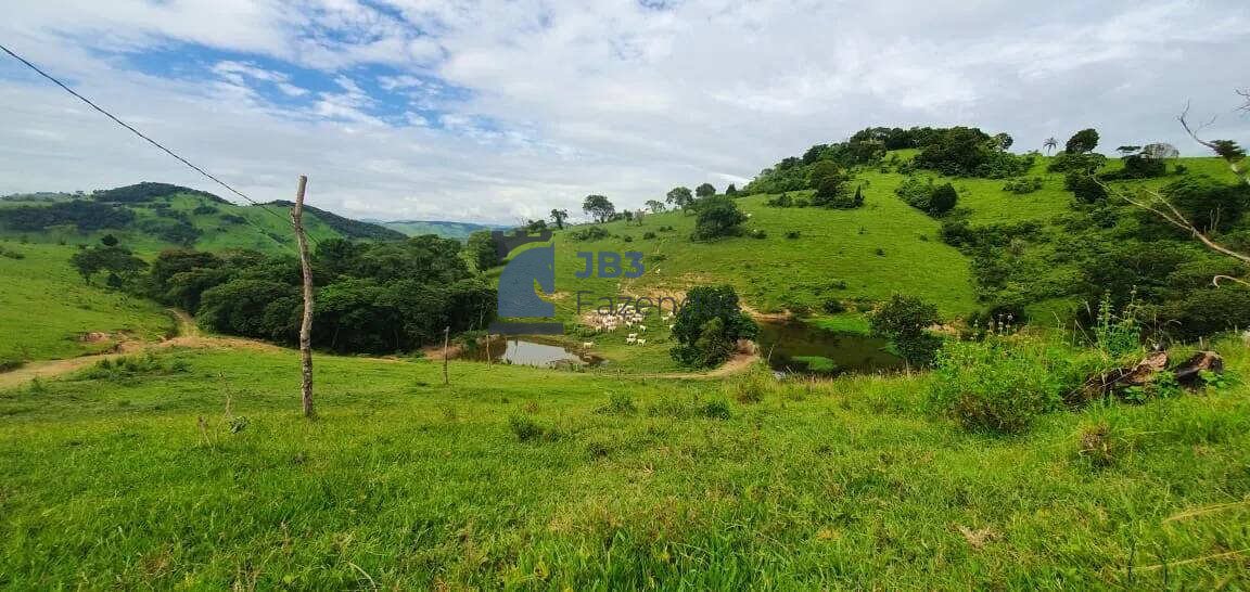 Fazenda à venda - ,Ortigueira