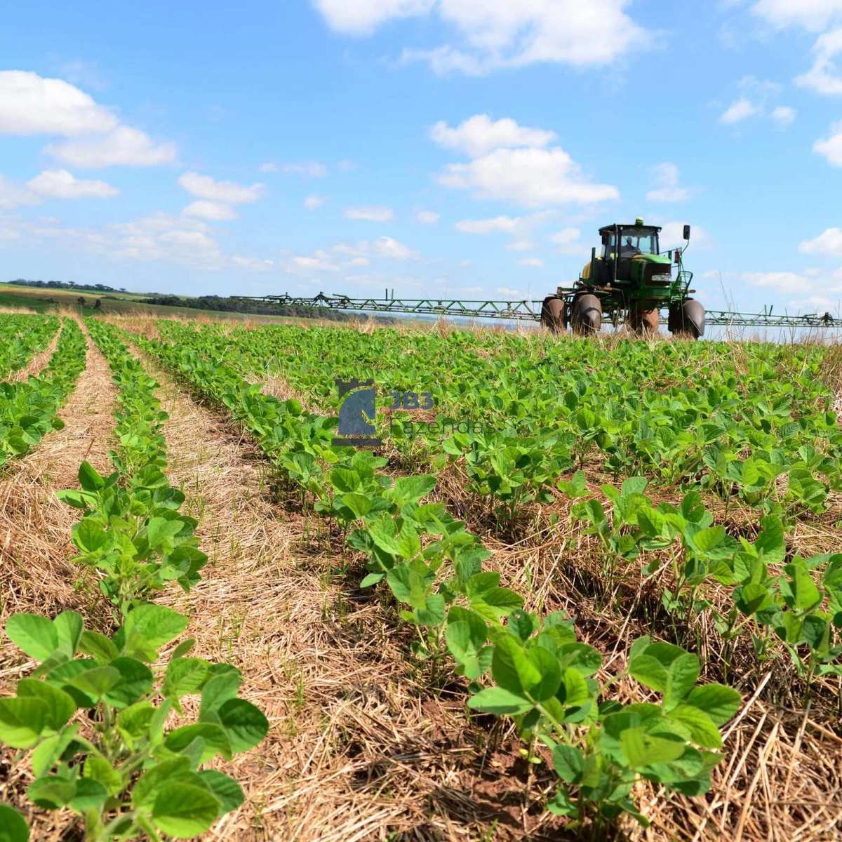  - Fazenda em Tijucas do Sul | 142 Alqueires | 347 Hectares
