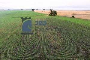 Fazenda à venda - ,Tijucas do Sul