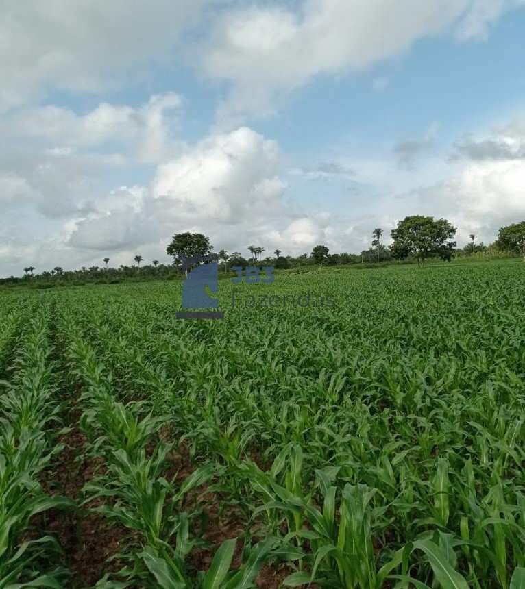 Fazenda à venda - ,Tijucas do Sul