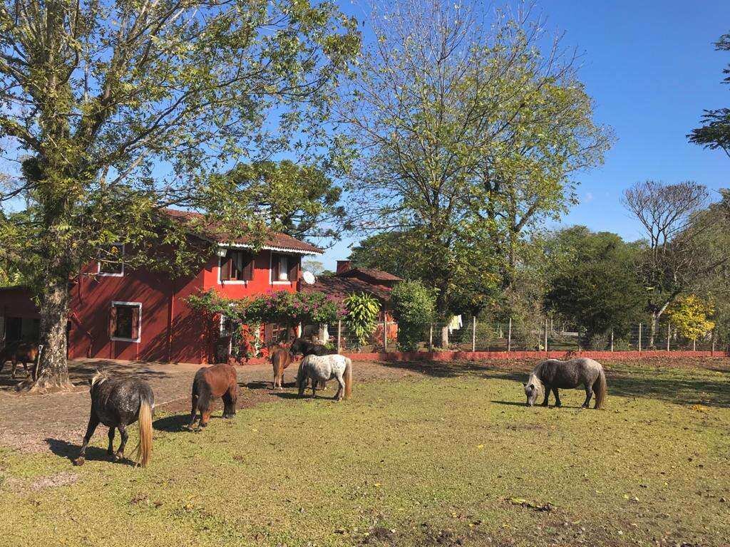 Chácara à venda com 4 quartos - Travessão,Dois Irmãos