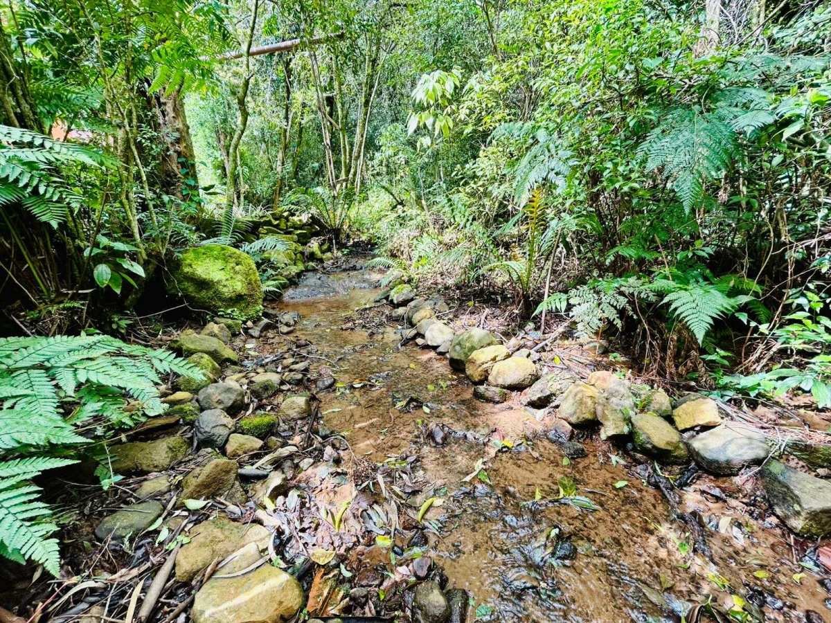  - Chácara à venda em Nova Hartz, Fazenda Padre Eterno, com 3 quartos, 160.00m²