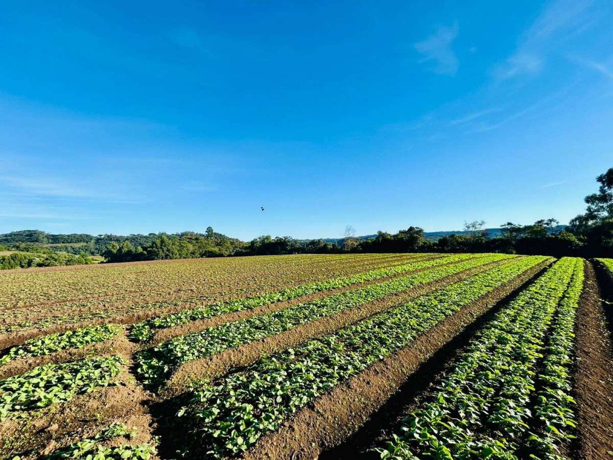 Chácara à venda - Padre Eterno Ilges,Santa Maria do Herval