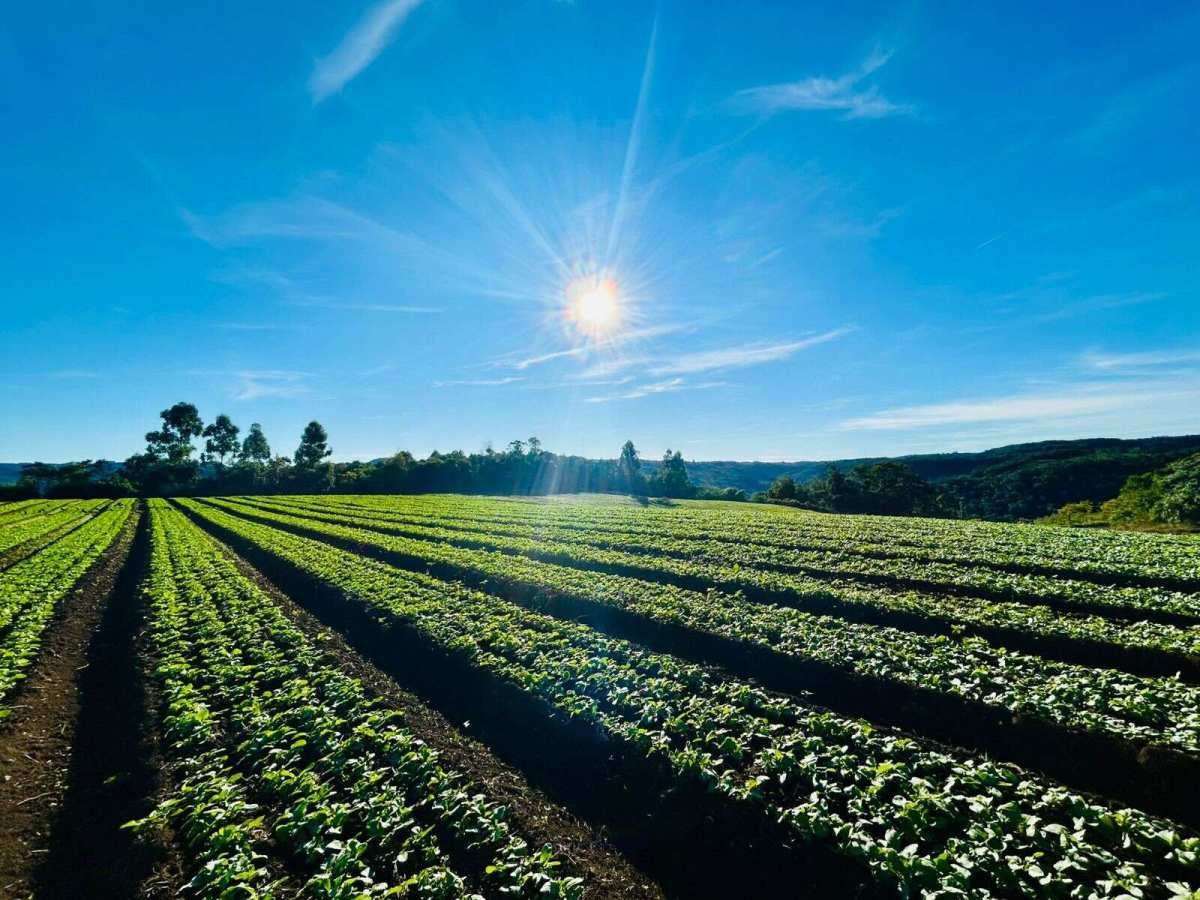 Chácara à venda - Padre Eterno Ilges,Santa Maria do Herval