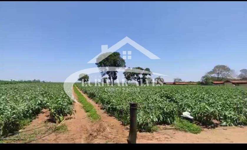 Sítio à venda com 4 quartos, 15257m² - Mombuca,Guatapará