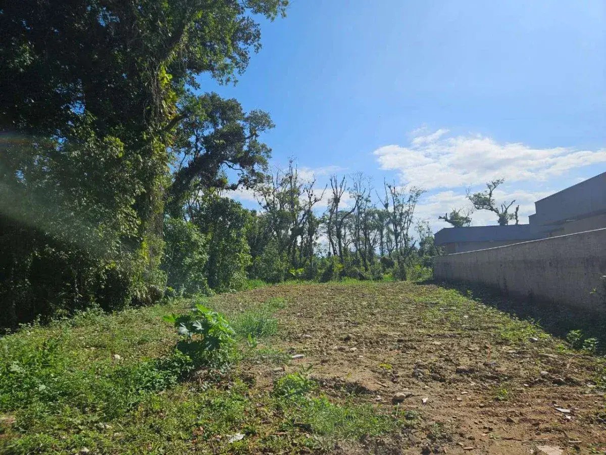 Terreno à venda, 525,00m² - Cavalheiro Imóveis