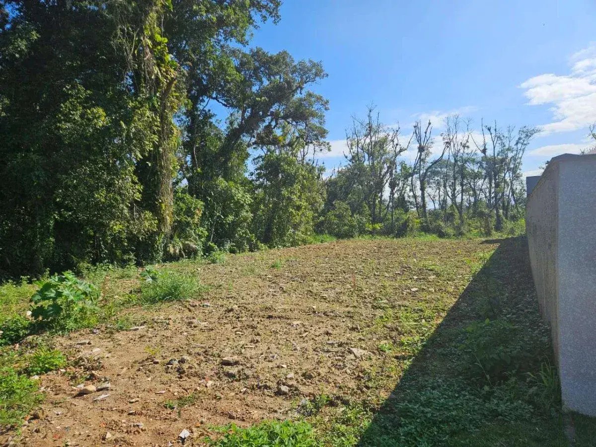 Terreno à venda, 525,00m² - Cavalheiro Imóveis