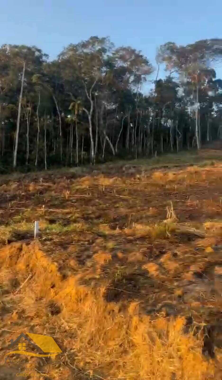 Terreno à venda em Amparo, ALTO DO SCHUENCK, 360m² - Alessandro Cardoso Imóveis