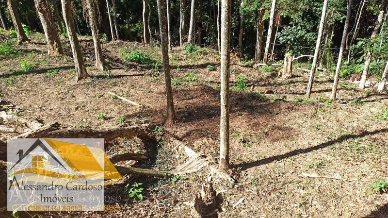 Vendo terreno de 2230 mts² no Paissandu - Alessandro Cardoso Imóveis