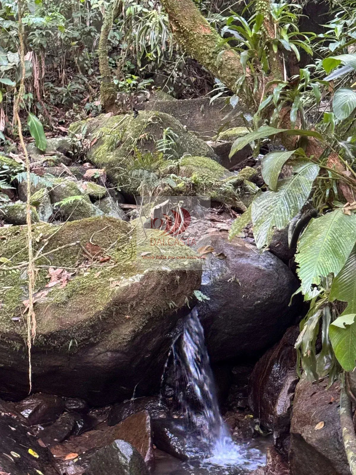  - Chácara à venda em Guaramirim, Jacú-açú, com 3 quartos, 100m²