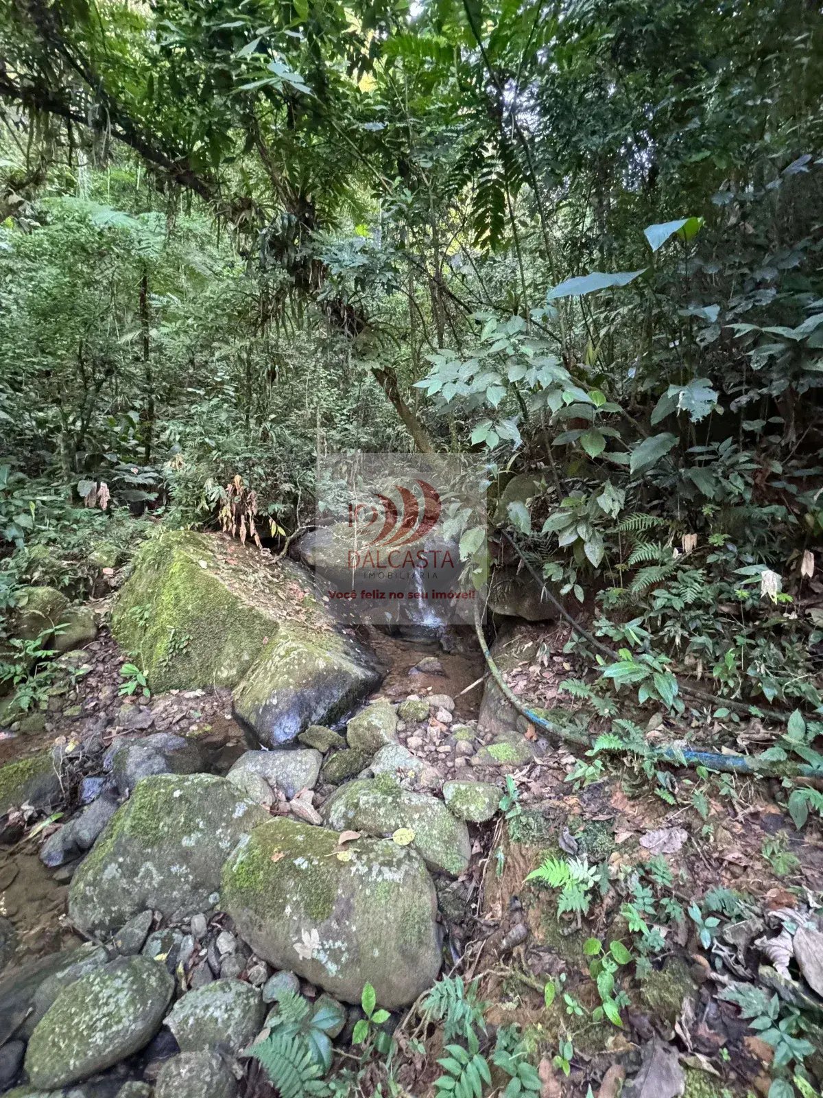 - Chácara à venda em Guaramirim, Jacú-açú, com 3 quartos, 100m²