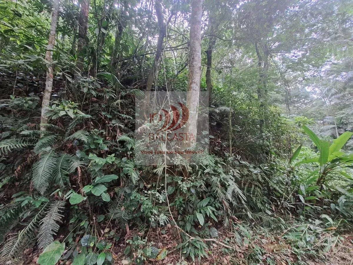  - Chácara/Sítio à venda em Jaraguá do Sul, Rio Cerro II, 192500m²