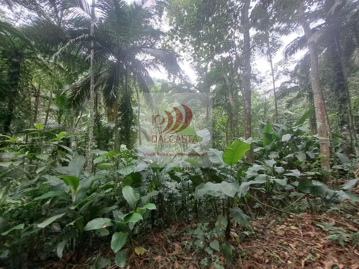  - Chácara/Sítio à venda em Jaraguá do Sul, Rio Cerro II, 192500m²