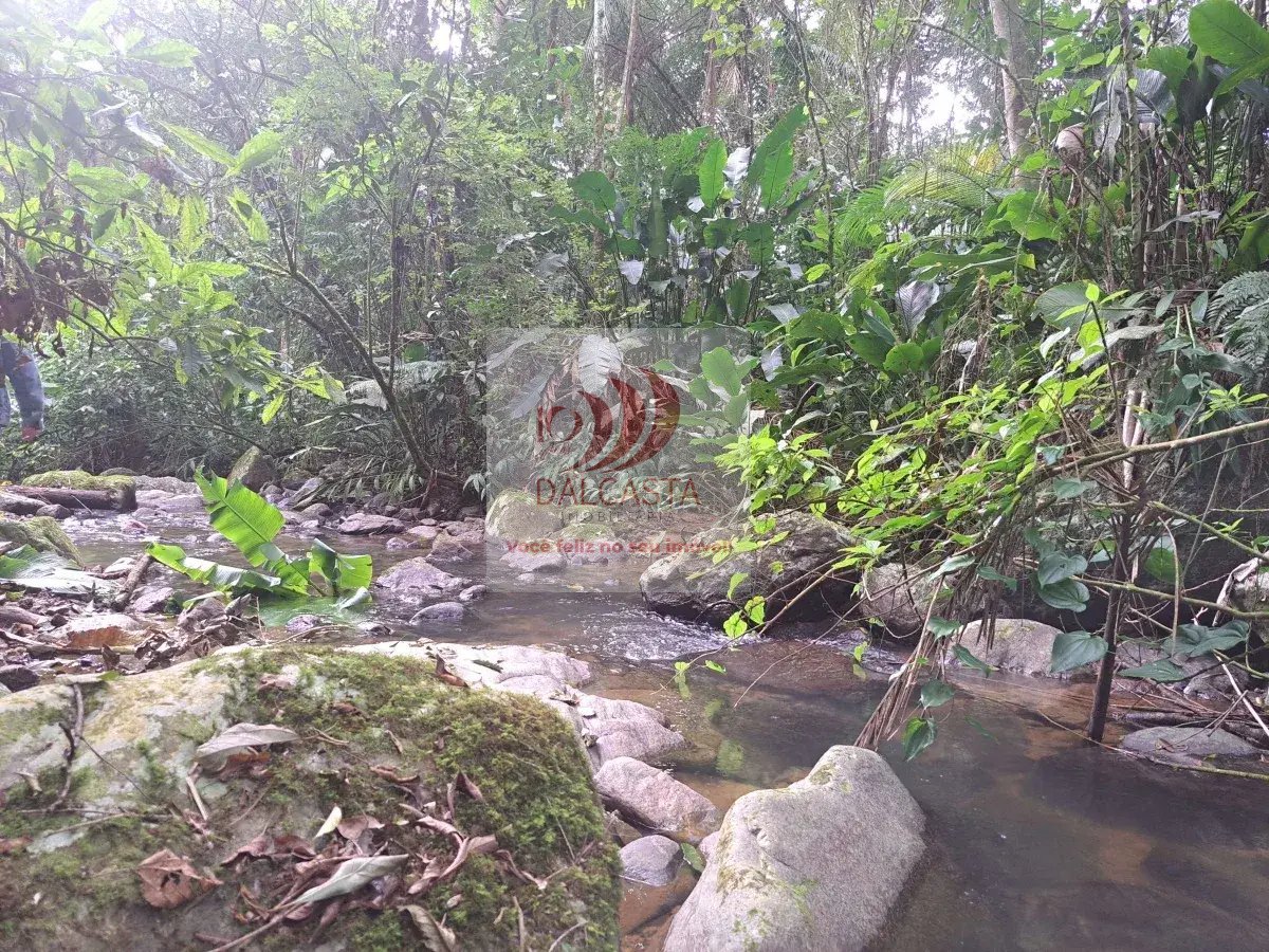  - Chácara/Sítio à venda em Jaraguá do Sul, Rio Cerro II, 192500m²