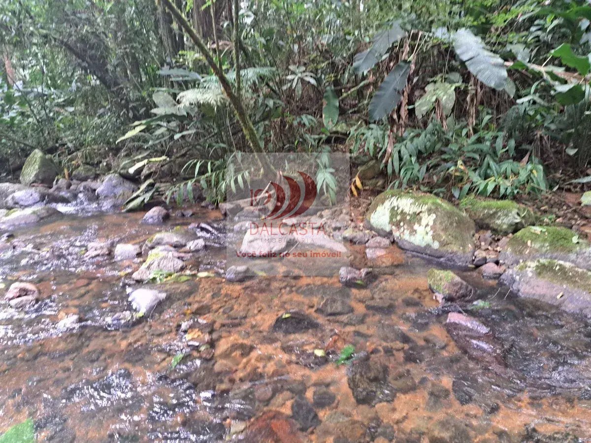 Chácara/Sítio à venda em Jaraguá do Sul, Rio Cerro II, 192500m² - Dalcasta Imobiliária