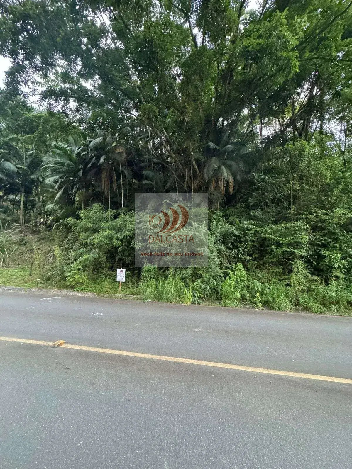  - Chácara no Ribeirão Grande