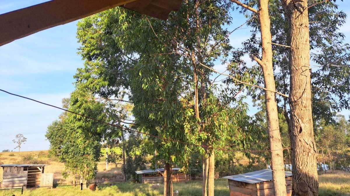 Área à venda - ,São Vicente do Sul