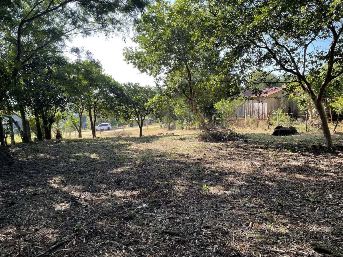 Terreno à venda - João XXIII,São Francisco de Assis