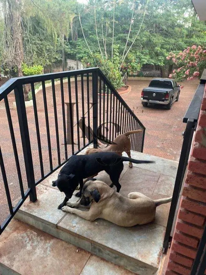Chácara à venda, no Recreio Internacional, em Ribeirão Preto, Recreio Internacional, com 5 quartos, 6400m²
