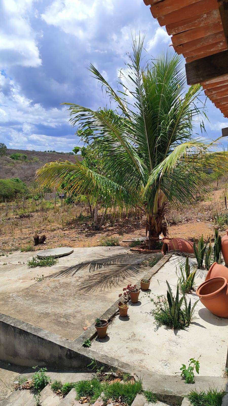 Chácara à venda com 3 quartos - ,