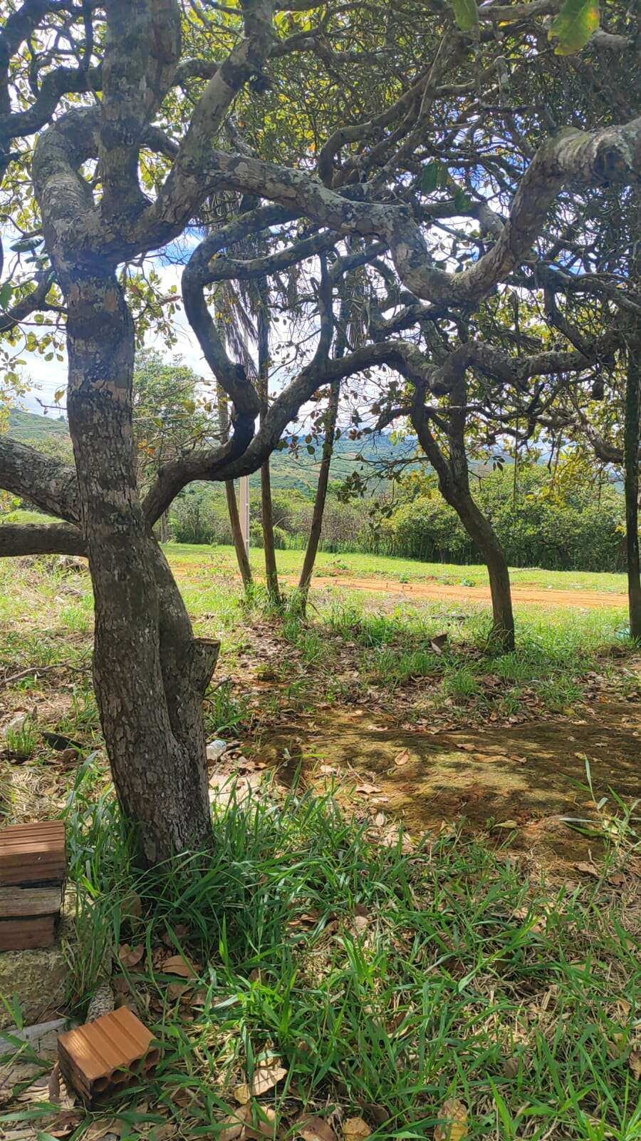 Terreno à venda - ,