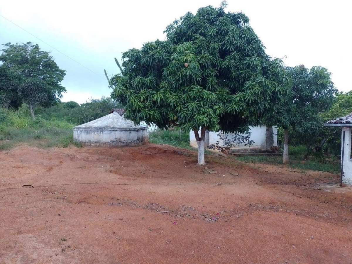  - Chácara à venda - Sítio Contenda (Parque Millany)