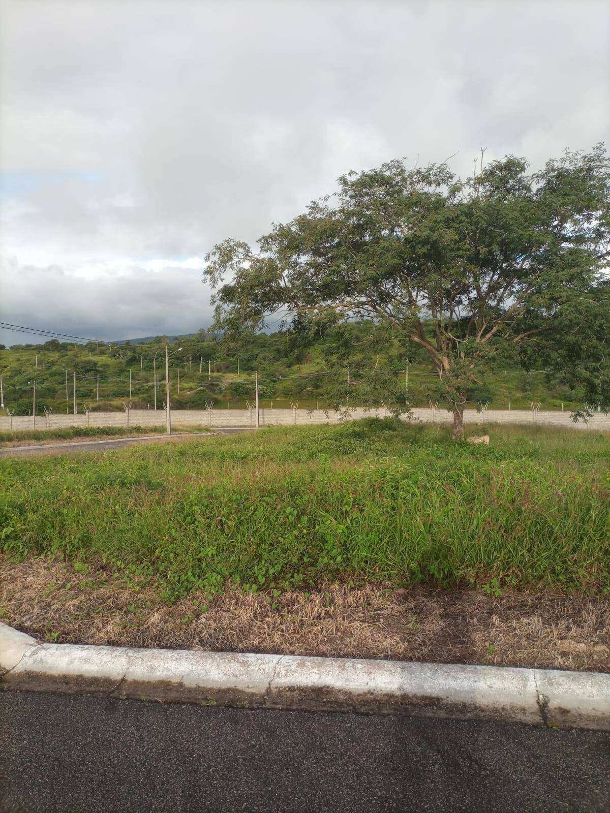 Terreno à venda - ,