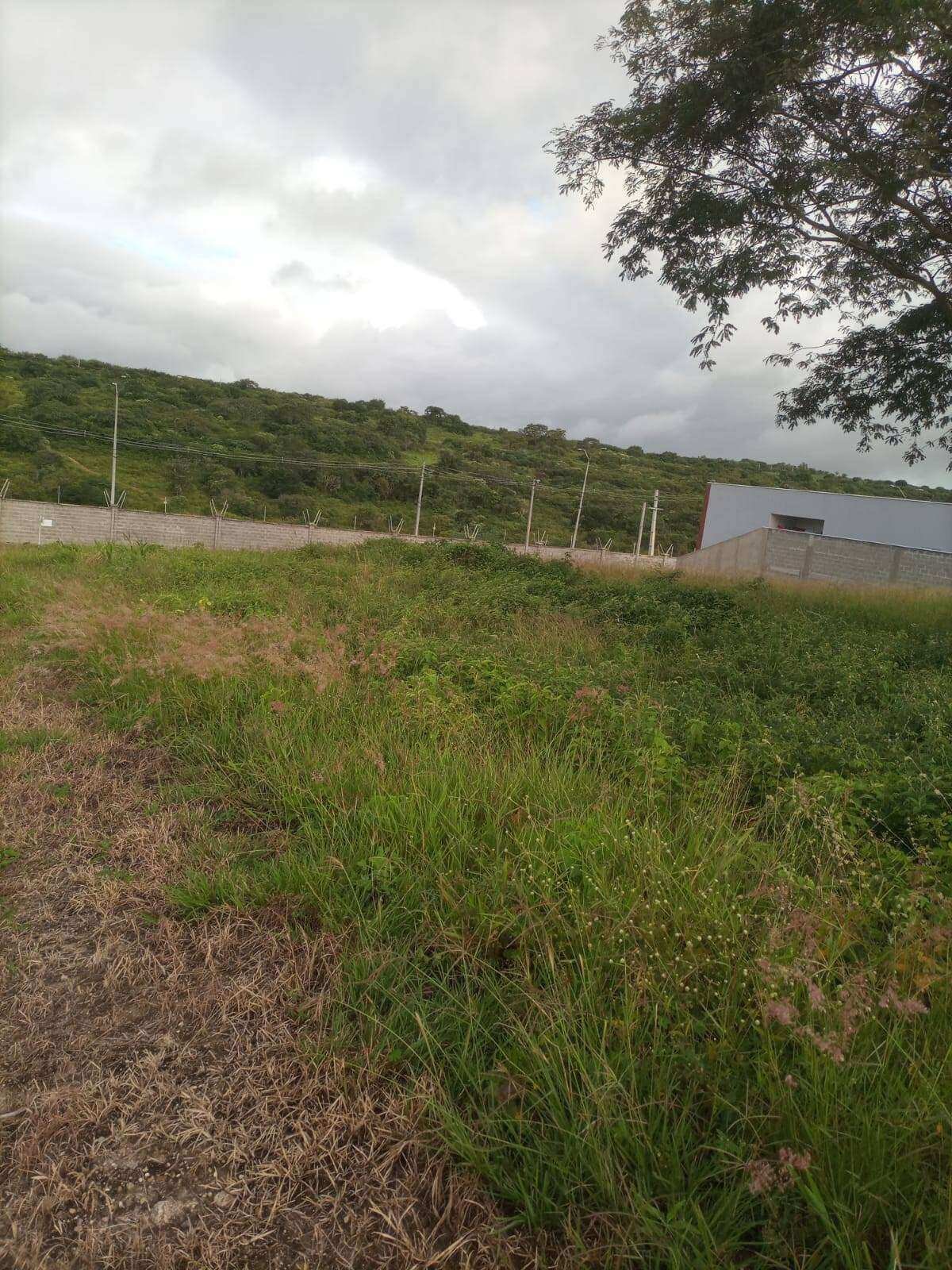 Terreno à venda - ,