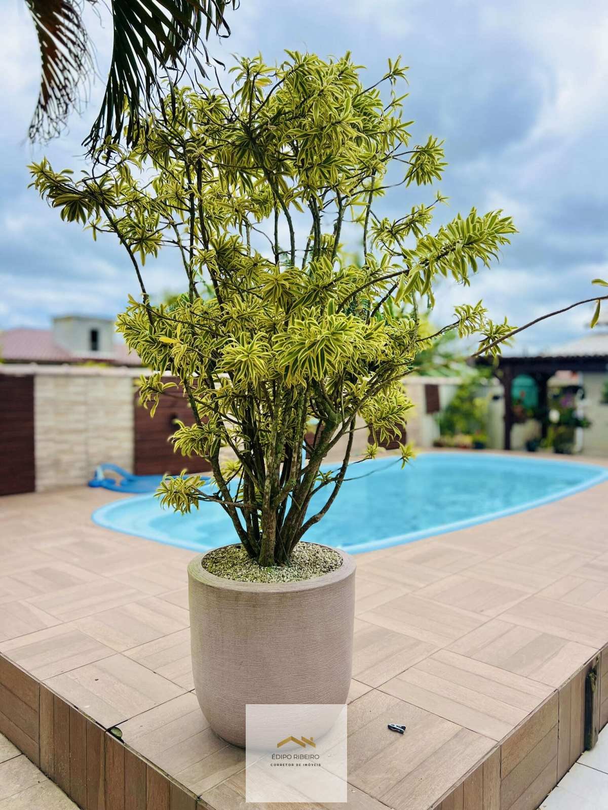  - Linda casa com Edicula e piscina,  em Nova Brasilia - Imbituba